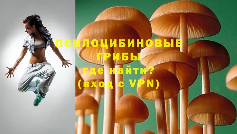 МЕГА вход  Люберцы  Галлюциногенные грибы Magic Shrooms 